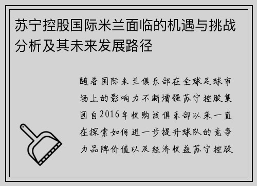 苏宁控股国际米兰面临的机遇与挑战分析及其未来发展路径 苏宁控股国际米兰面临的机遇与挑战分析及其未来发展路径